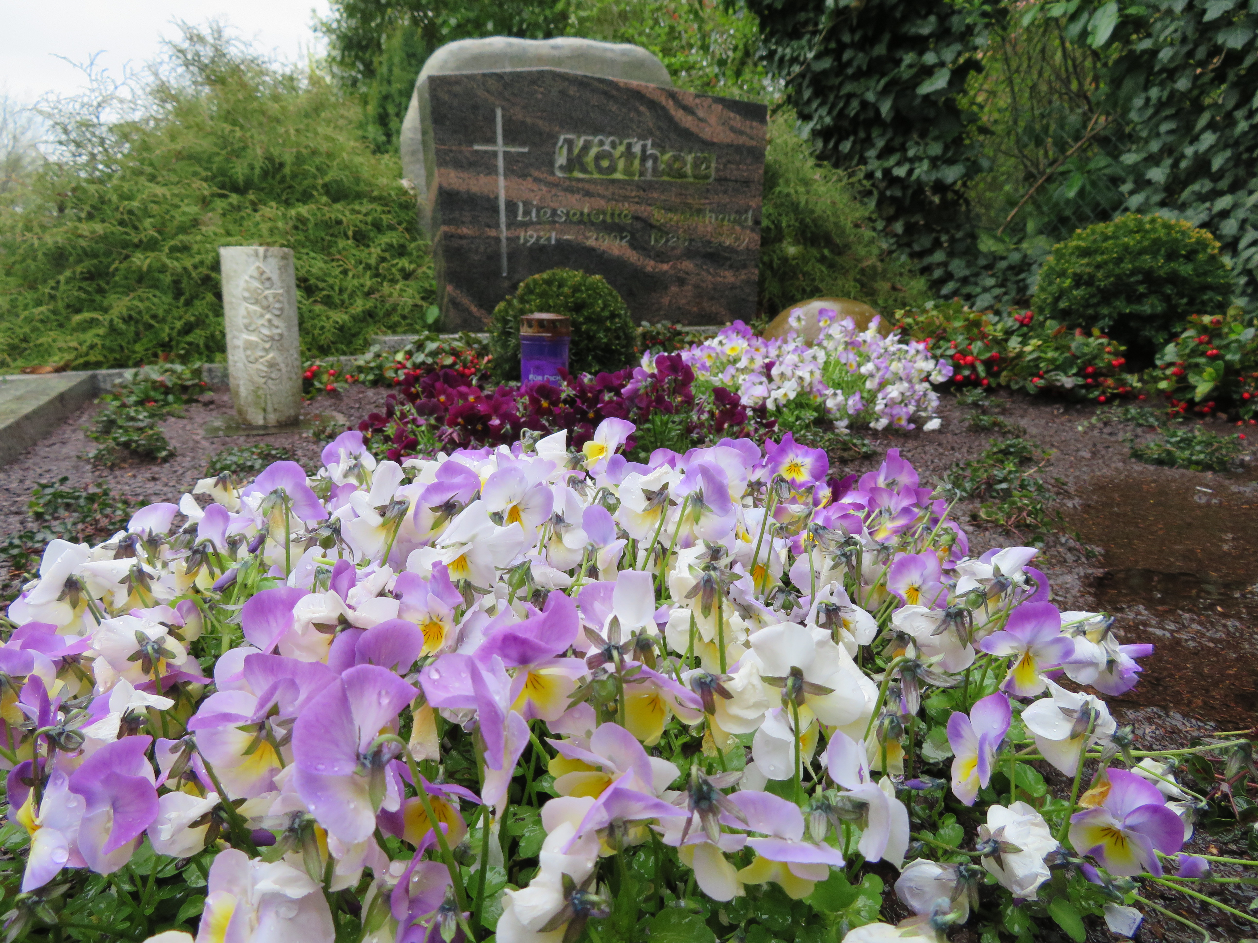 Foto der Frühjahrsbepflanzung erstellen